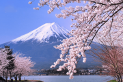 DU XUÂN NHẬT BẢN ĐÀ NẴNG – NÚI PHÚ SĨ – TOKYO