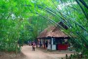 THAM QUAN TOUR HCM CITY - CỦ CHI
