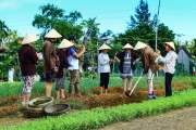 One day being farmer in Tra Que village - Local Life experience