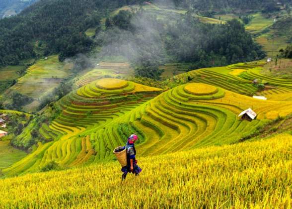 Hanoi – Sapa – Halong Bay 6D5N Experiences