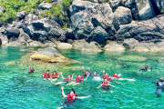 Cham Island Sightseeing & Snorkeling Tour, Pick up at DaNang or Hoi An