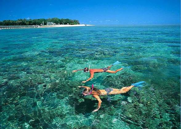 TOUR LẶN NGẮM SAN HÔ BÁN ĐẢO SƠN TRÀ