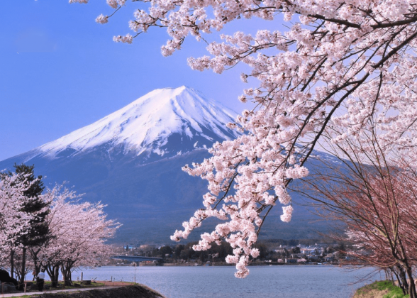 DU XUÂN NHẬT BẢN ĐÀ NẴNG – NÚI PHÚ SĨ – TOKYO