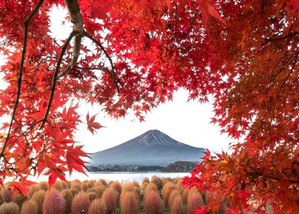 MÙA LÁ ĐỎ ; TOKYO - NÚI PHÚ SỸ - TRẢI NGHIỆM TẮM OSEN - YOKOHAMA (THÁNG 11)