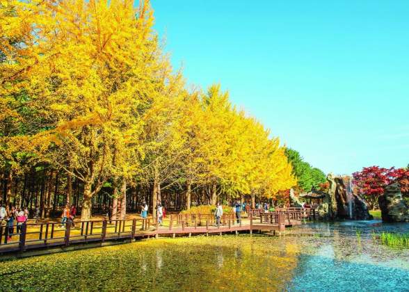 DU XUÂN HÀN QUỐC: SEOUL – SKI RESORT - ĐẢO NAMI - CÔNG VIÊN EVERLAND- HERO PAINTERS SHOW