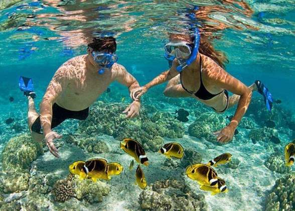 Cham Island Sightseeing & Snorkeling Tour, pick up at Danang or Hoian